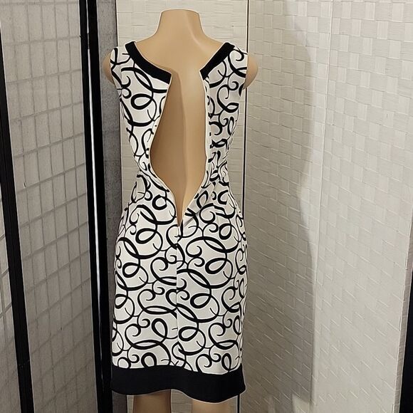 LONDON ROUND NECK SLEEVELESS HIDDEN ZIPPER WOMAN DRESS - Picture 9 of 16